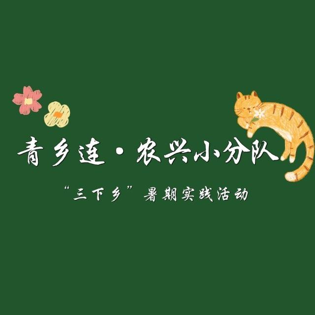 青乡连·农兴小分队