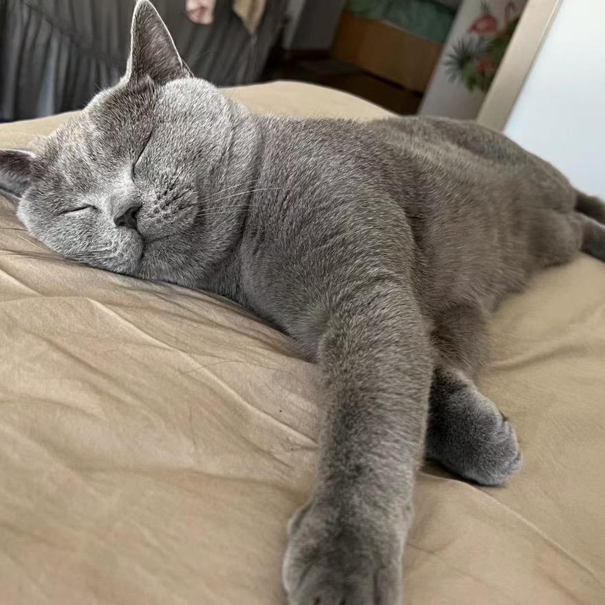 心事全在钱包里