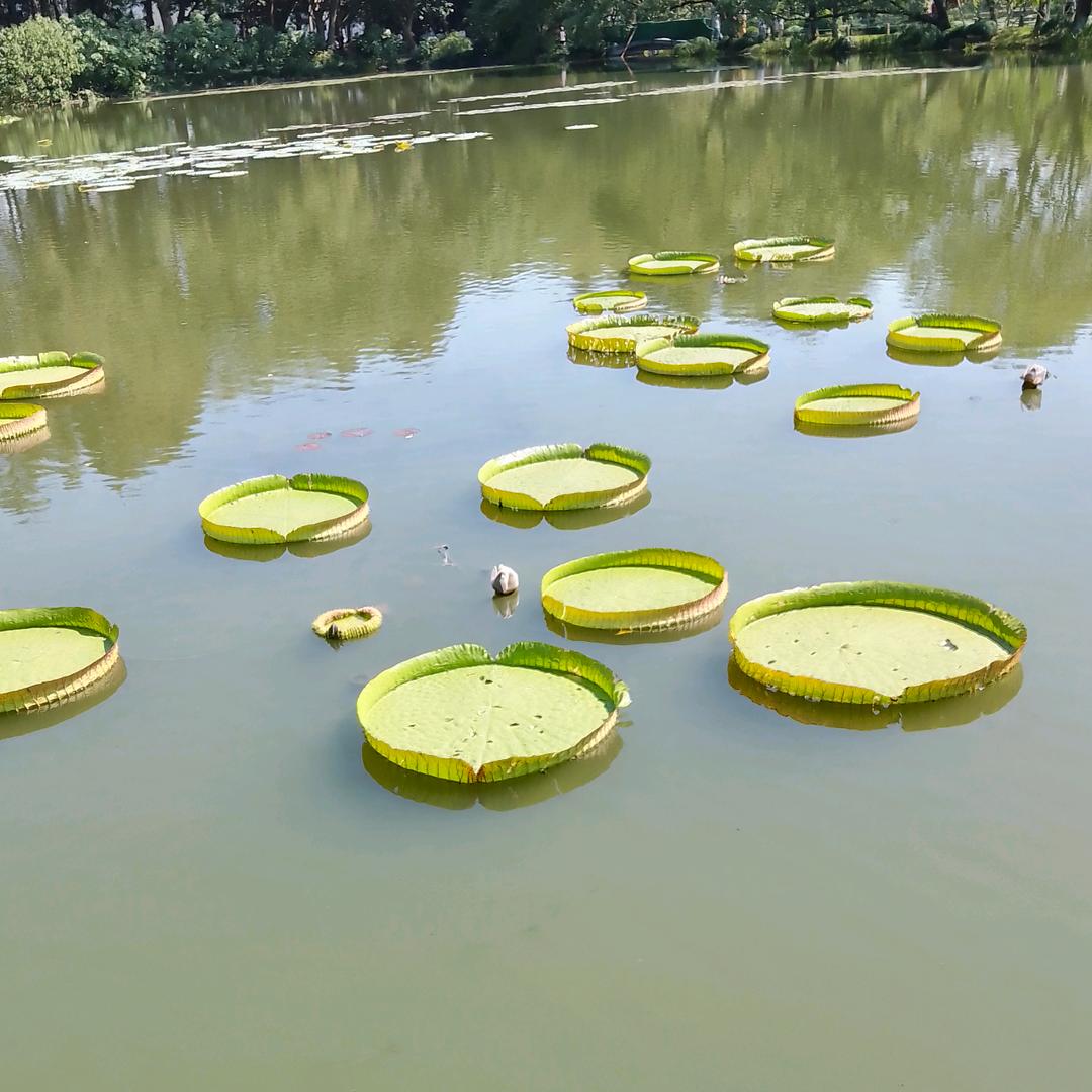 余生.……始于初见止于终老