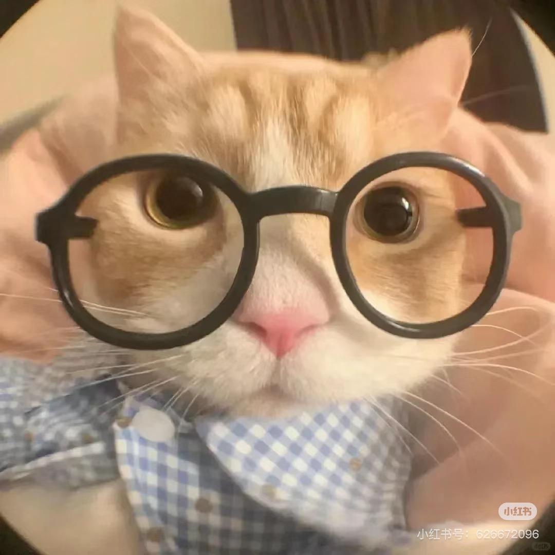 猫嚷嚷