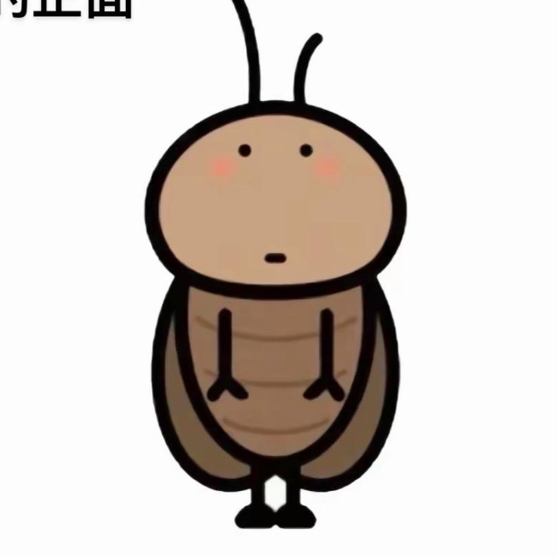 次次