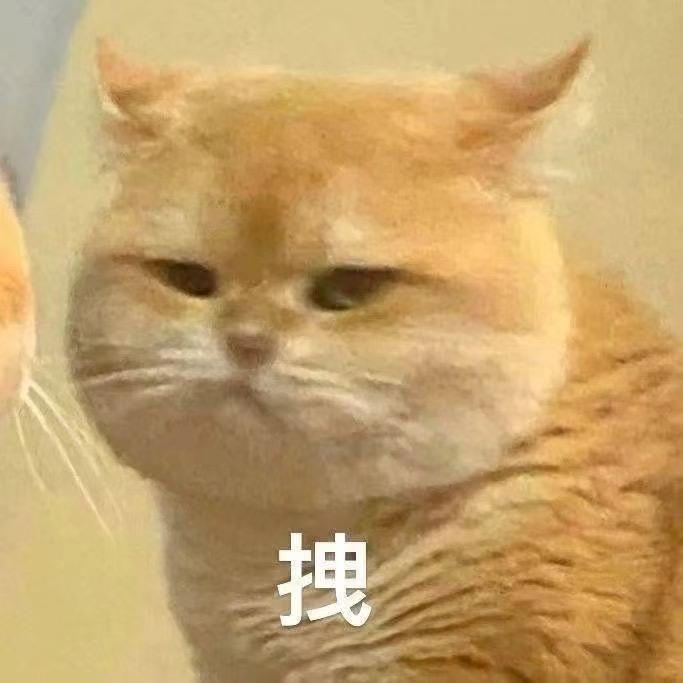 苏越月