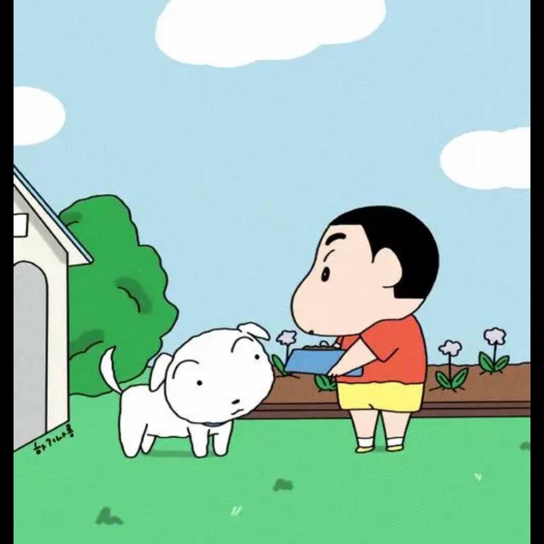 小新和小白