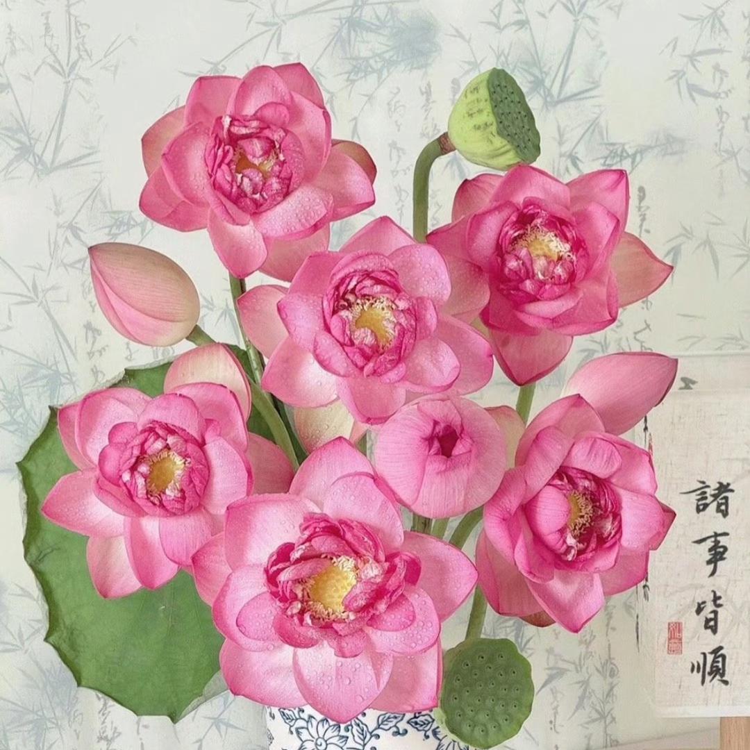 春秋大梦鸡场