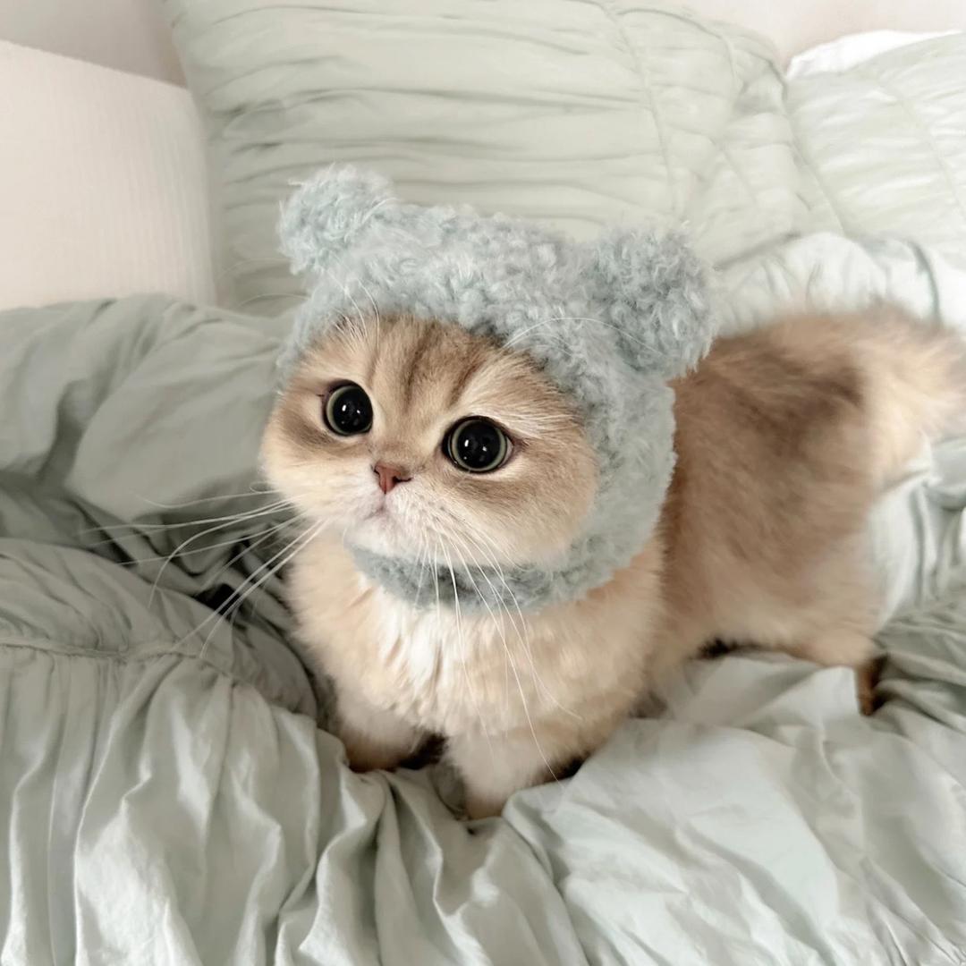 毛毛（炎陵家庭美甲）