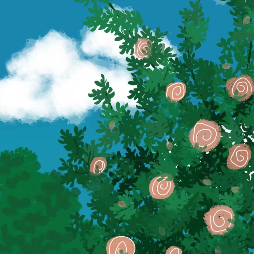 小俞今天练琴了吗