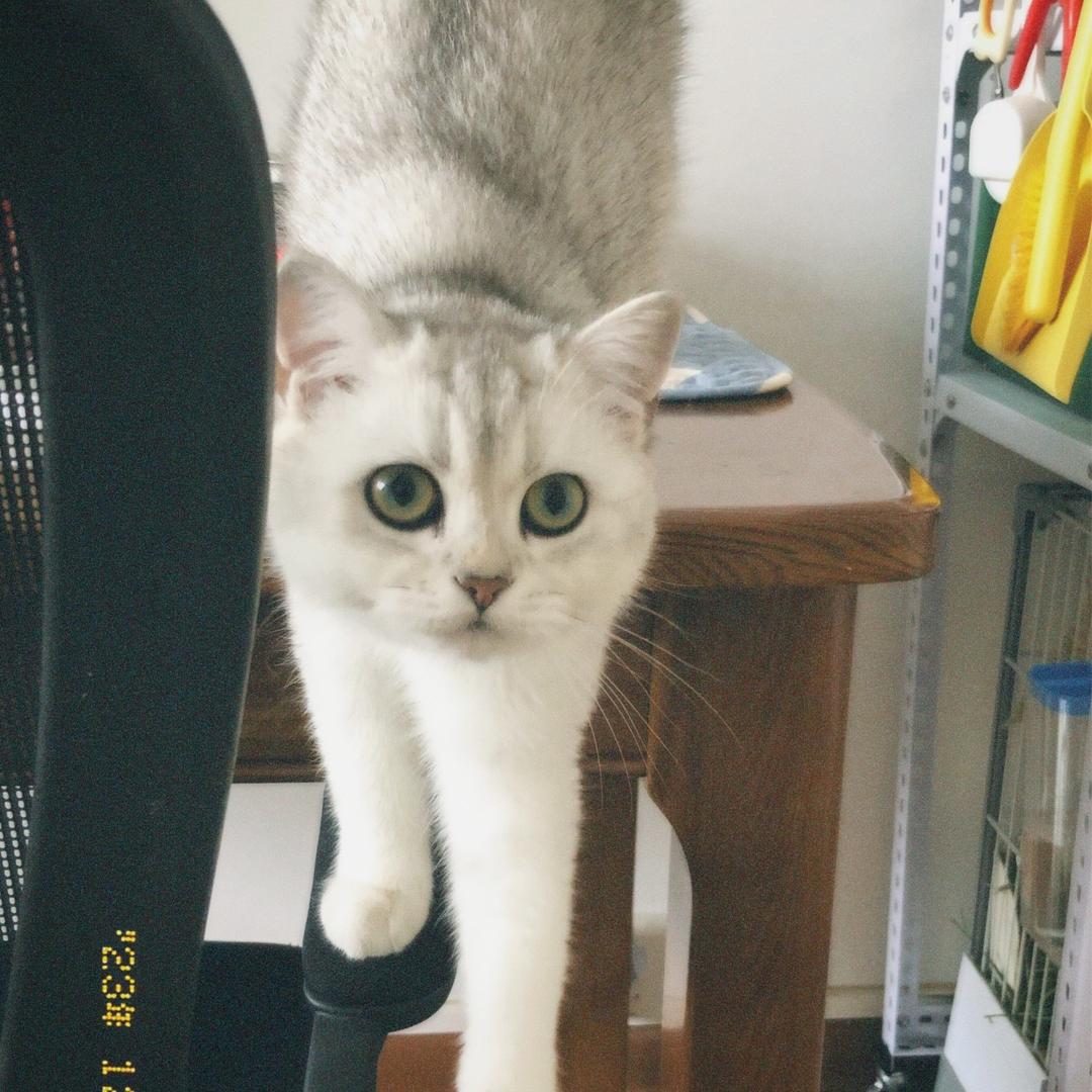 发发