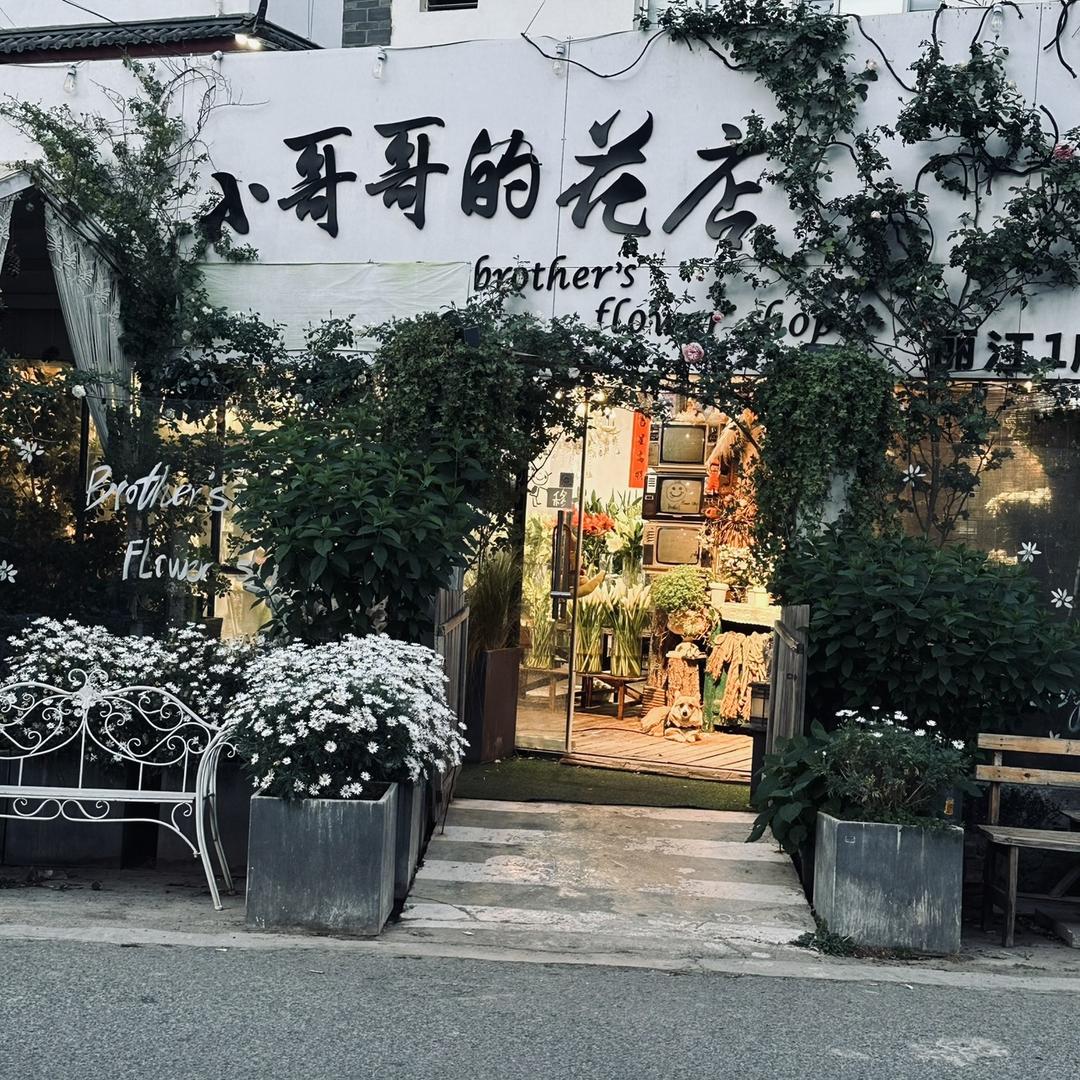 重生之我在呼市卖小猫🐱