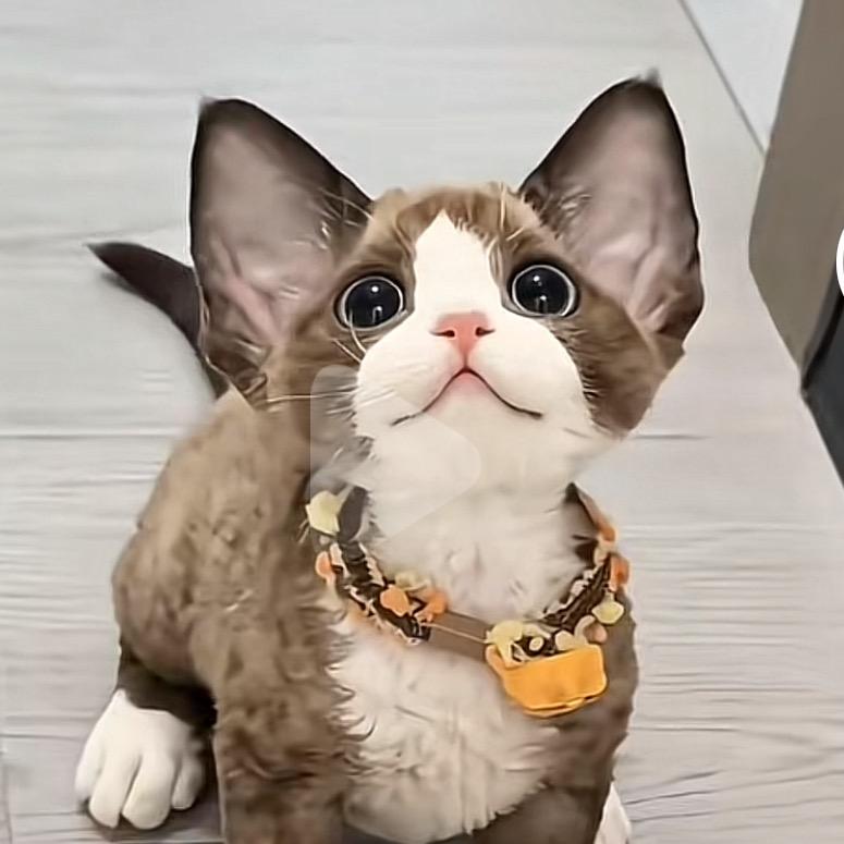 新世纪
