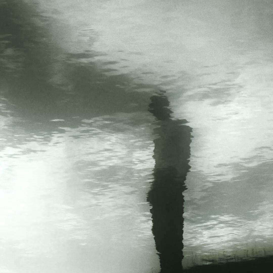 清禾.