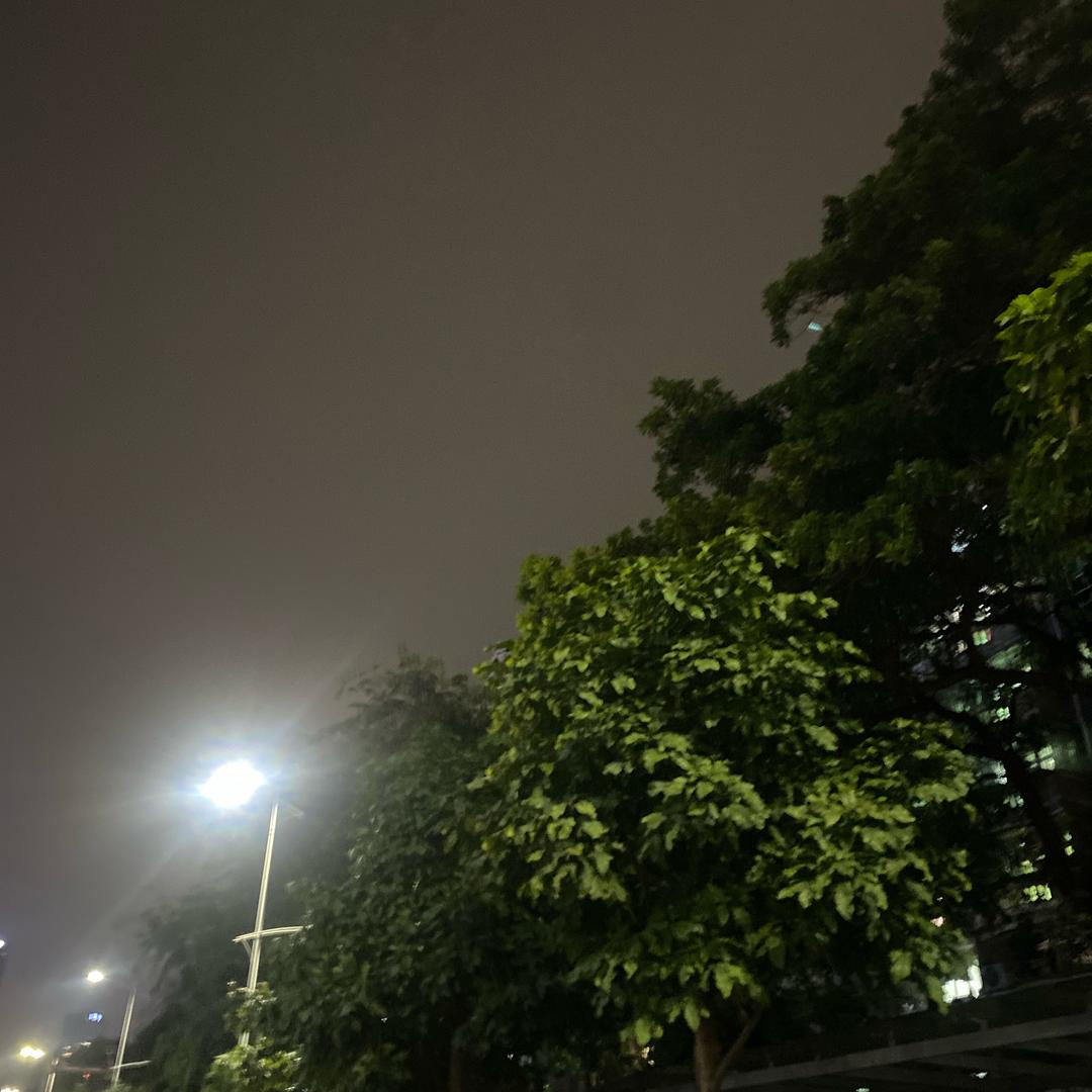 南油绝美