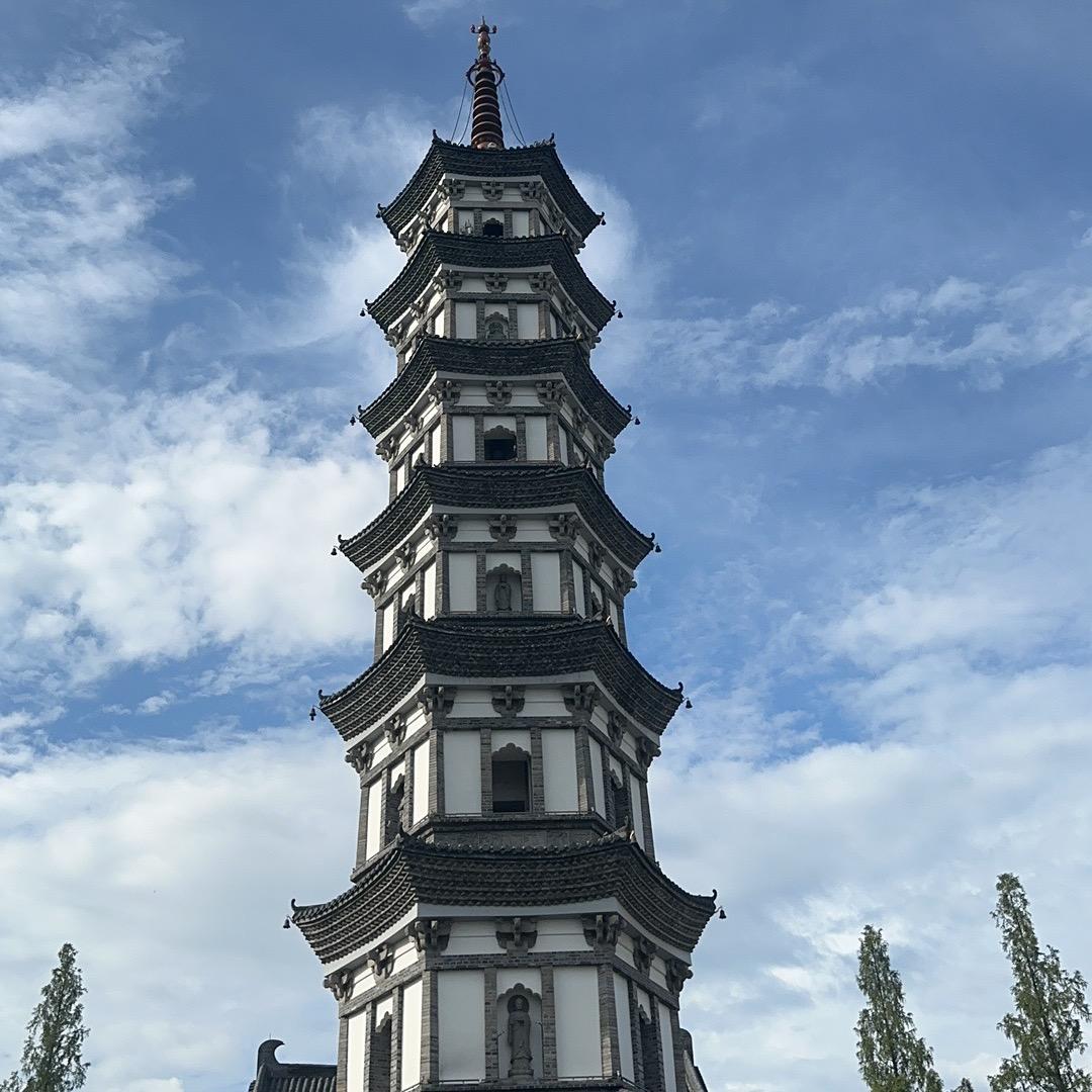 哪个？