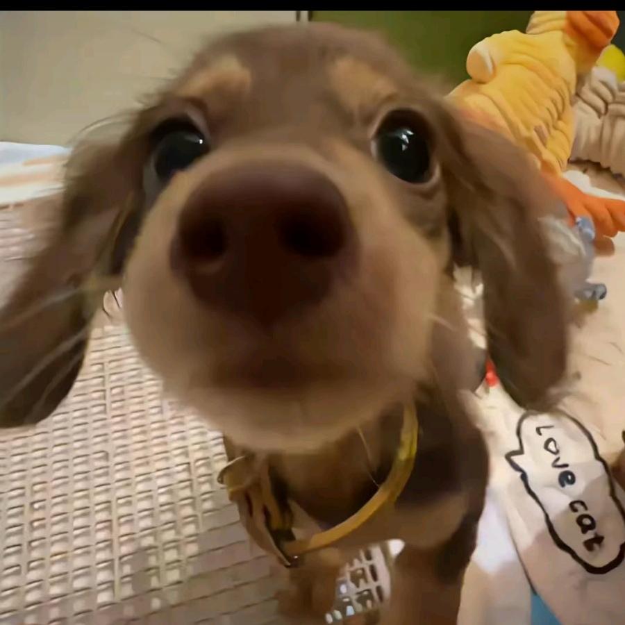 迁浔