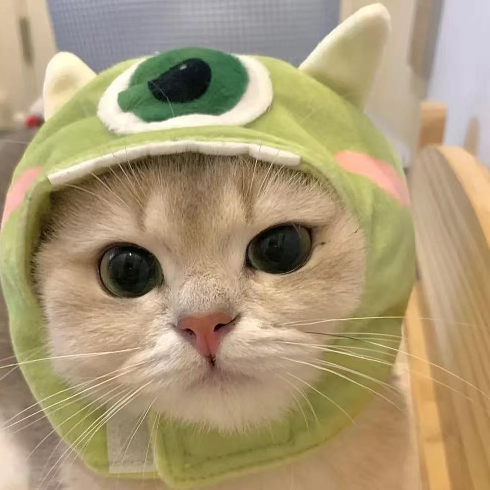 珍宠阁宠物生活馆