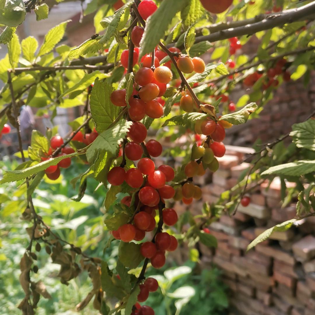 用户9644062956037随缘