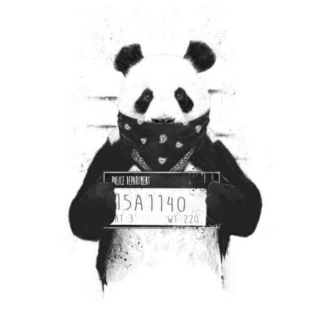 锦衣🛠️