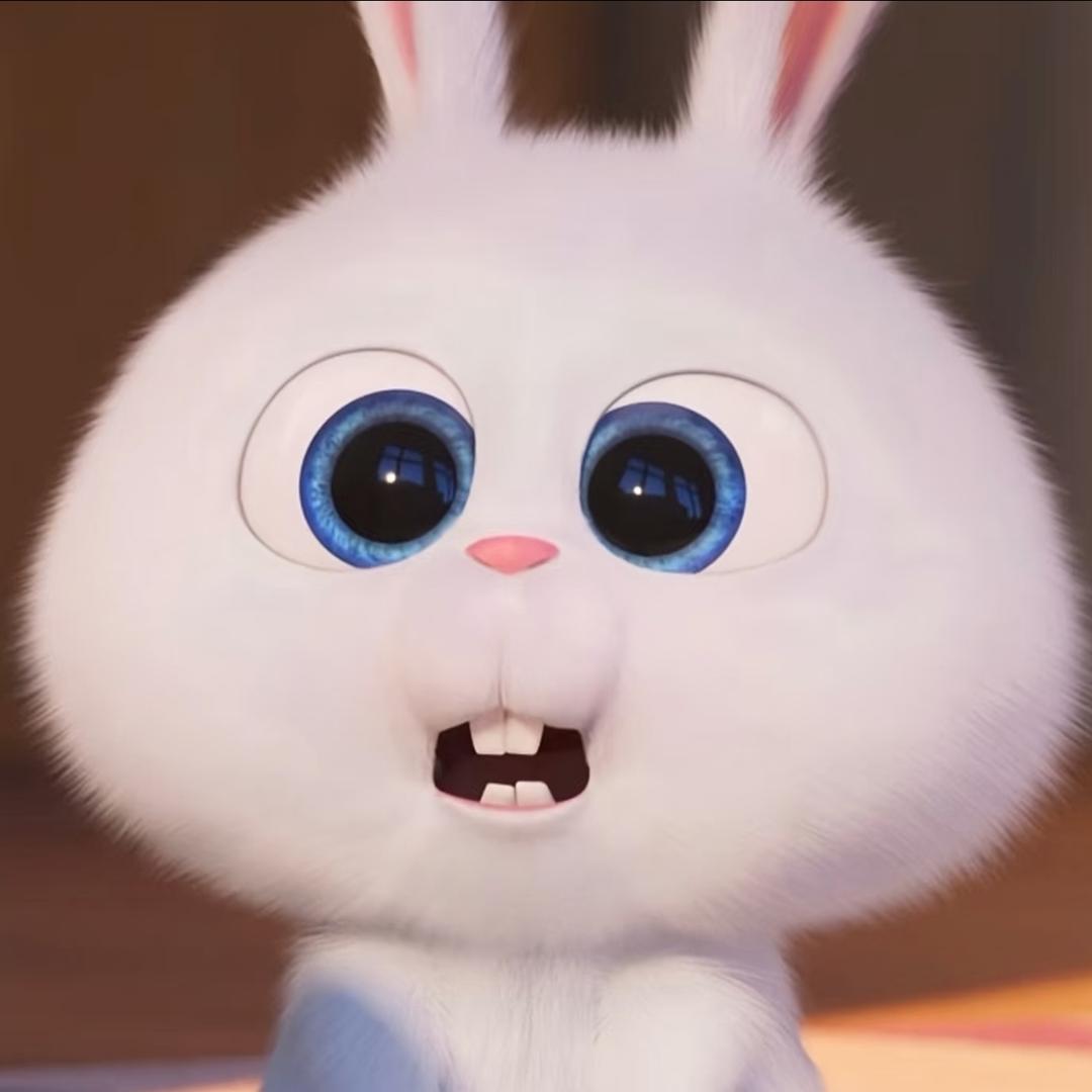 三峡千古情一只兔