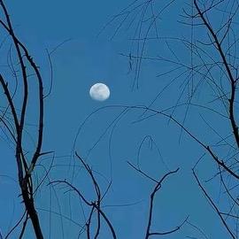 夜晚的天空