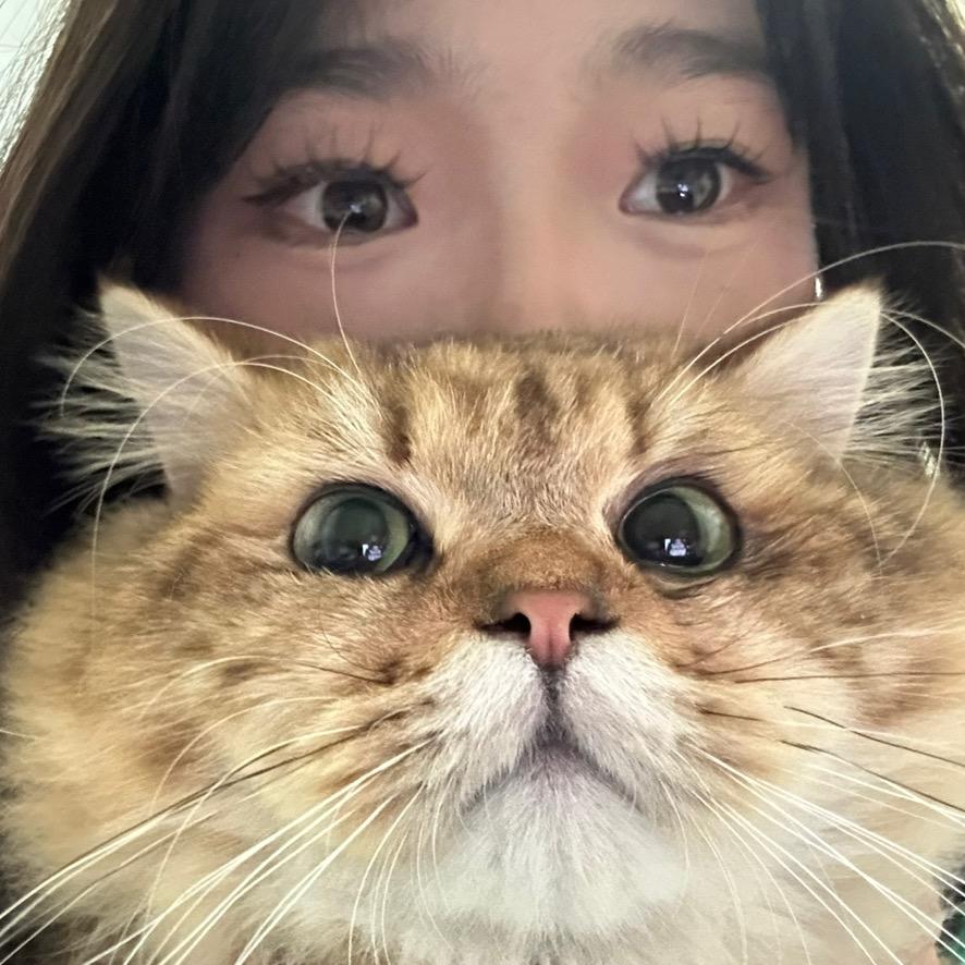 方方有五只猫