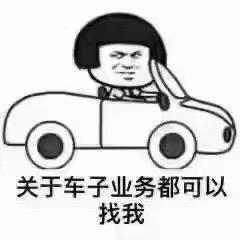 美丽的二手车贩子