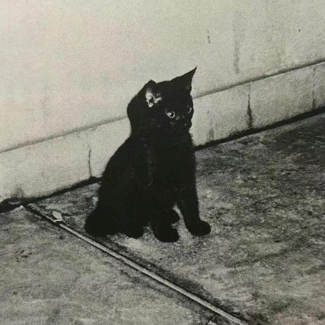 一腚要开森