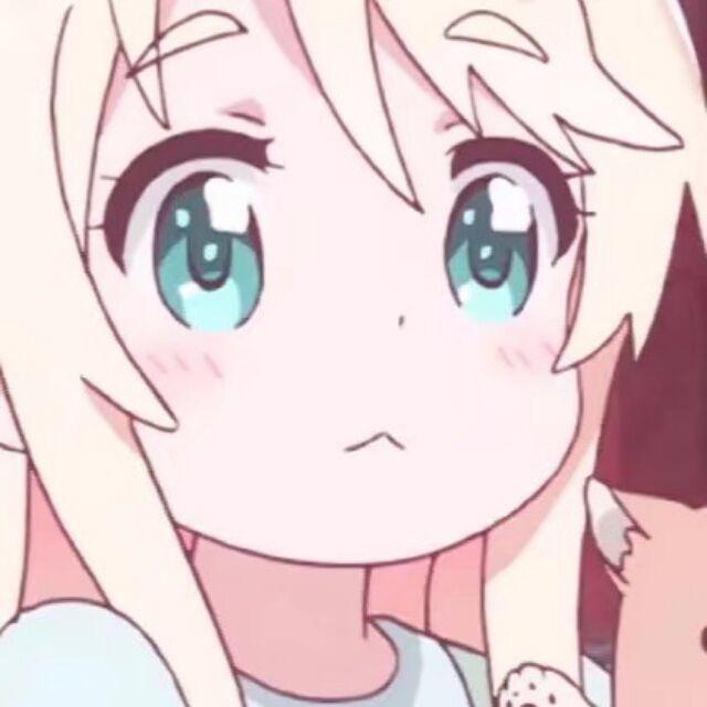 衿衿去哪了