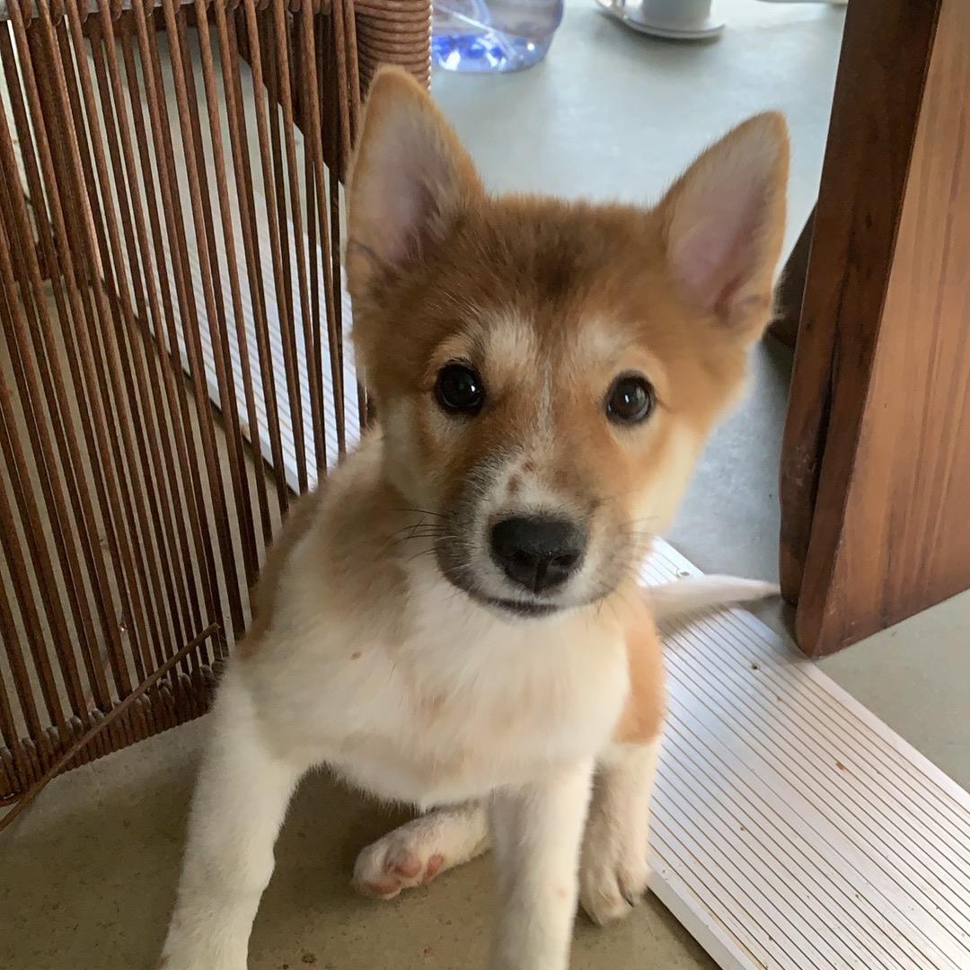 北大毕业的我重生之在珠海种菜养鸡