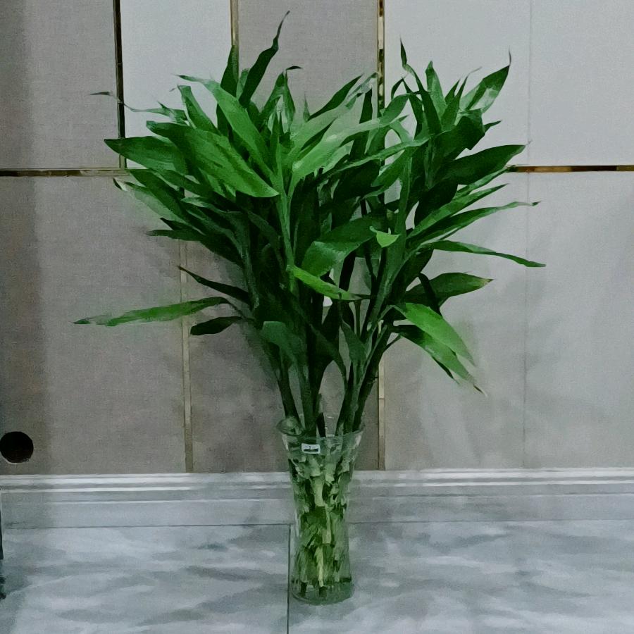 蒲江县丁师海信专营店