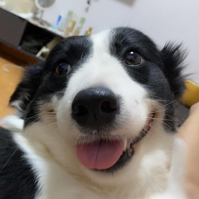 啵啵..