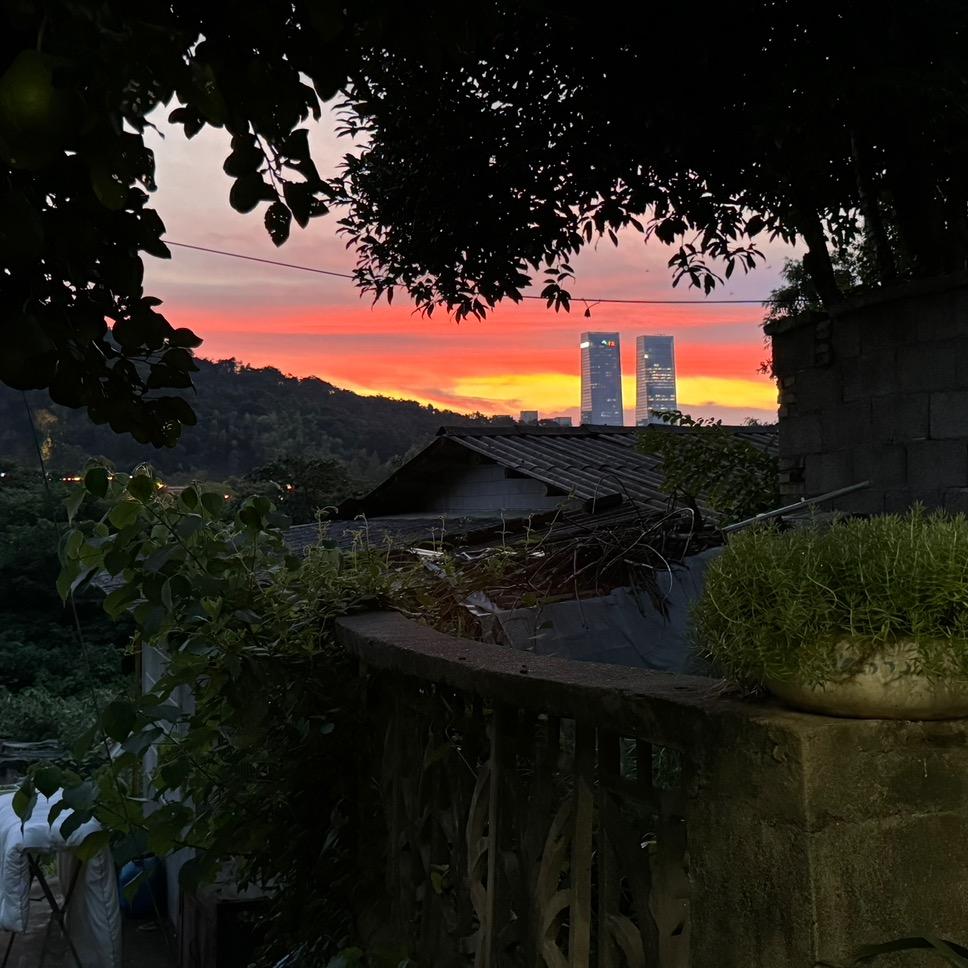 钟情时