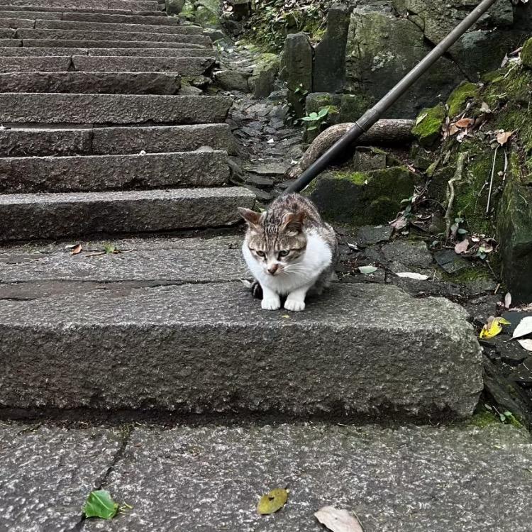 曲靖大小姐
