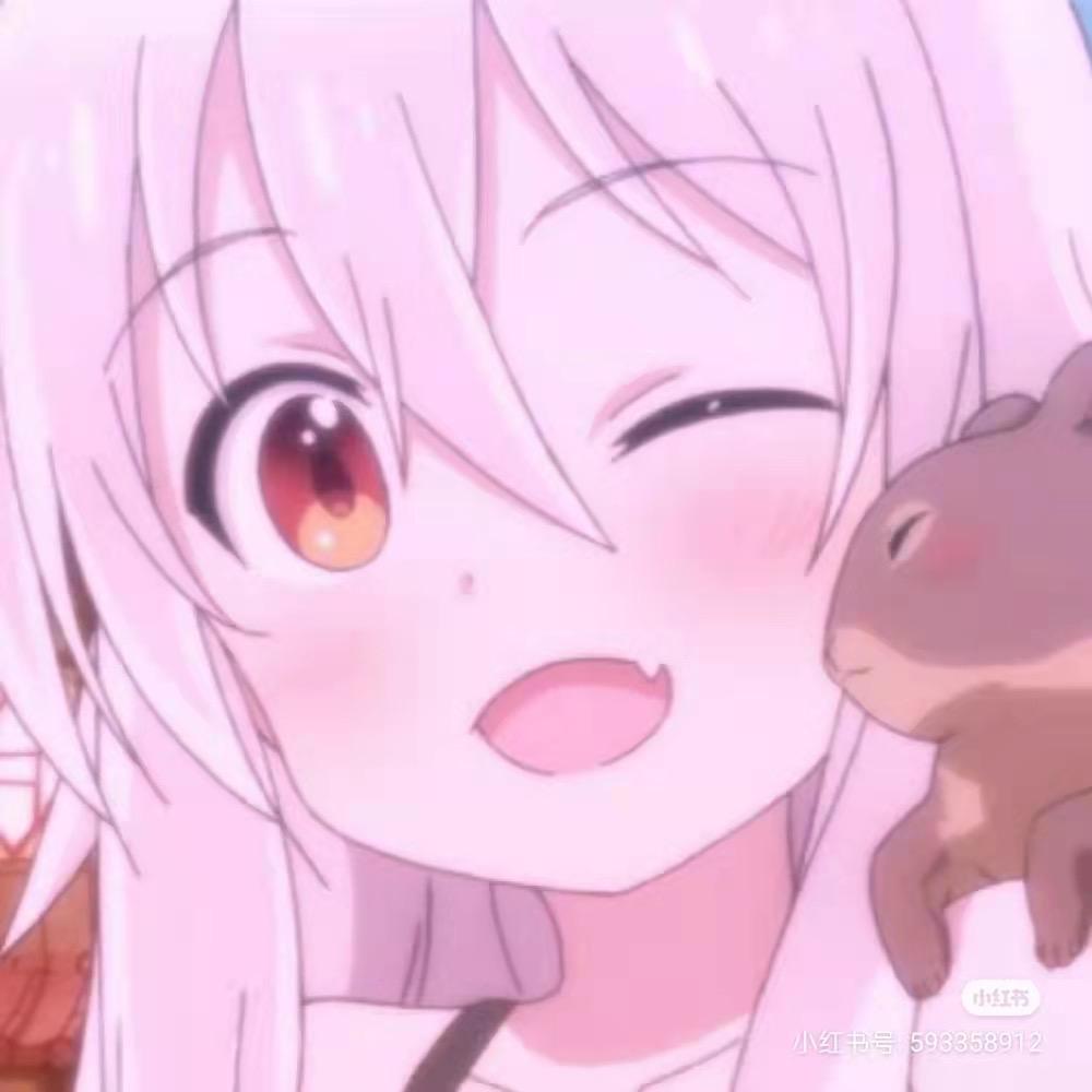 菜鸟翩翩