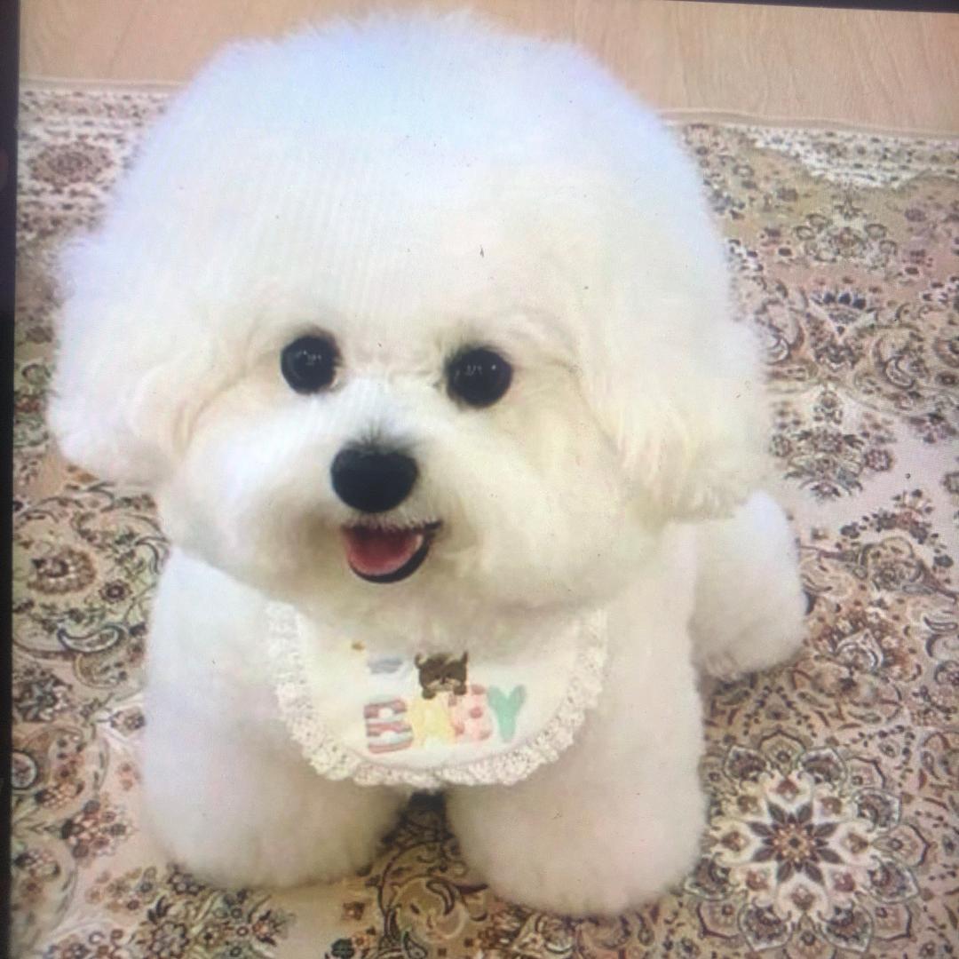 农村养宠人李姐