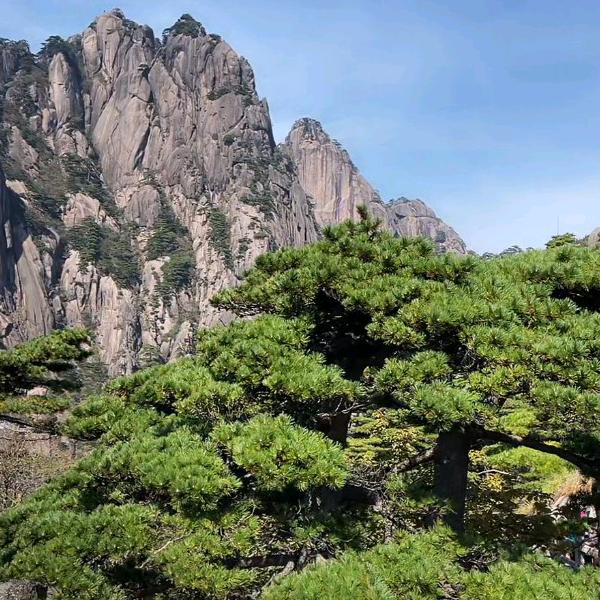 最美的风景