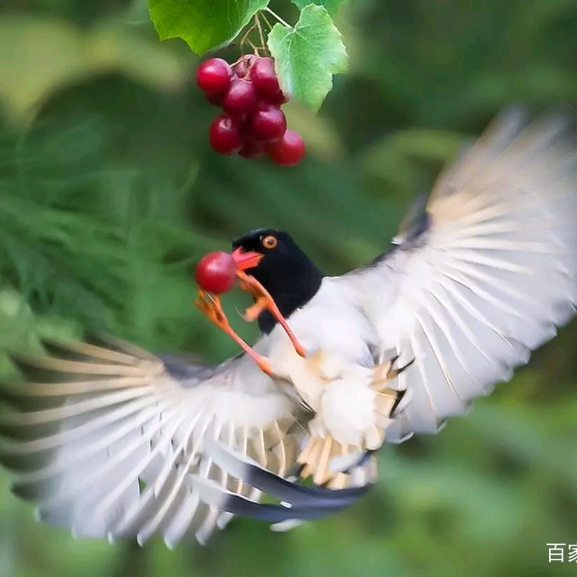 天财猎头人力资源服务有限公司