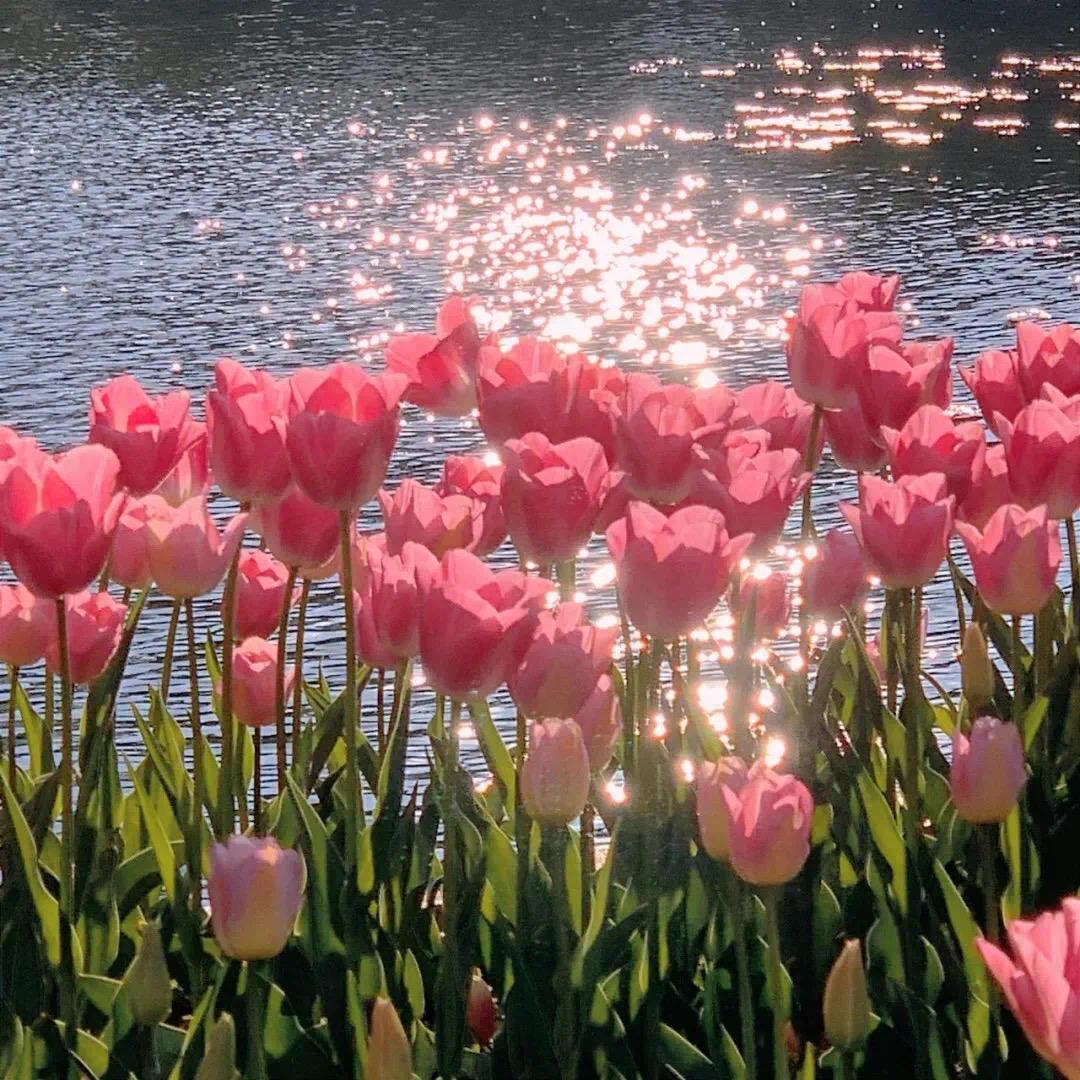 在职硕博～小满老师