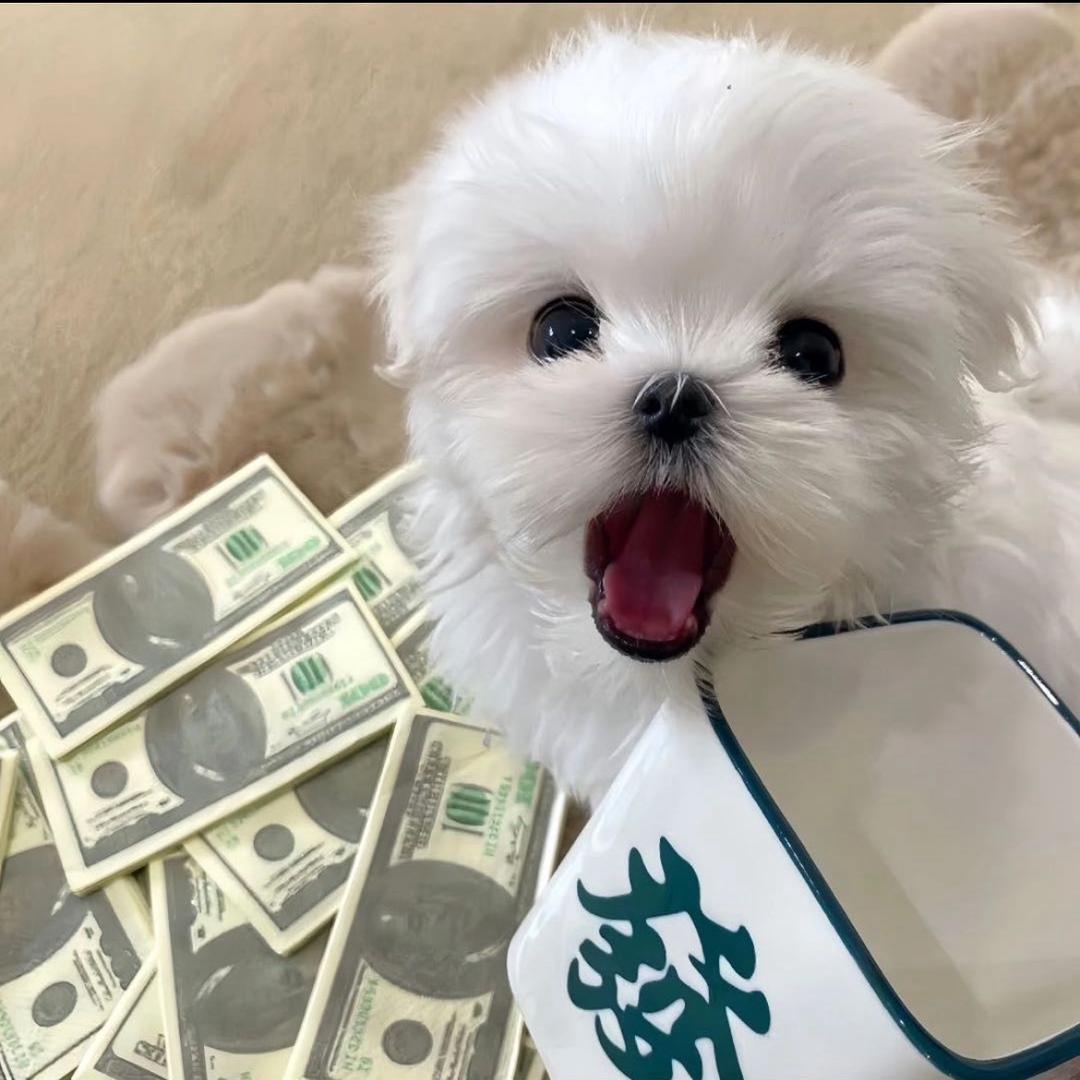 最少做100件善事