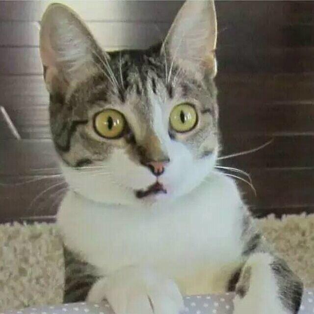 遗忘不要回首