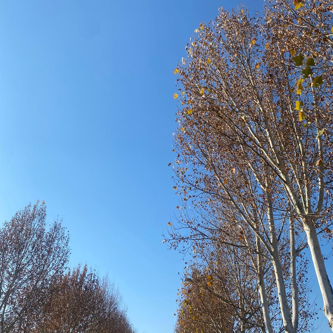 小文爱收藏