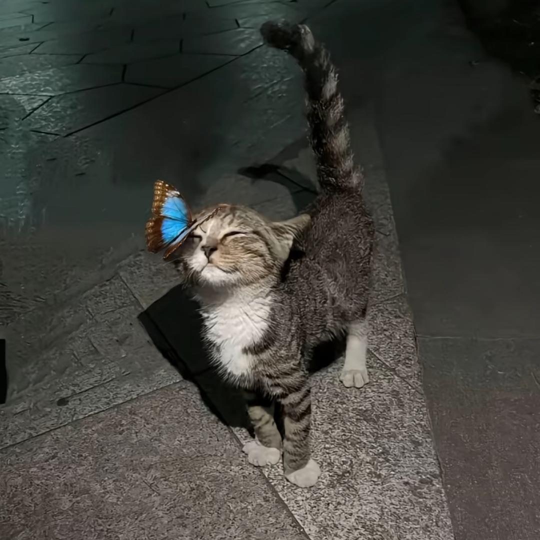 睡衣王子
