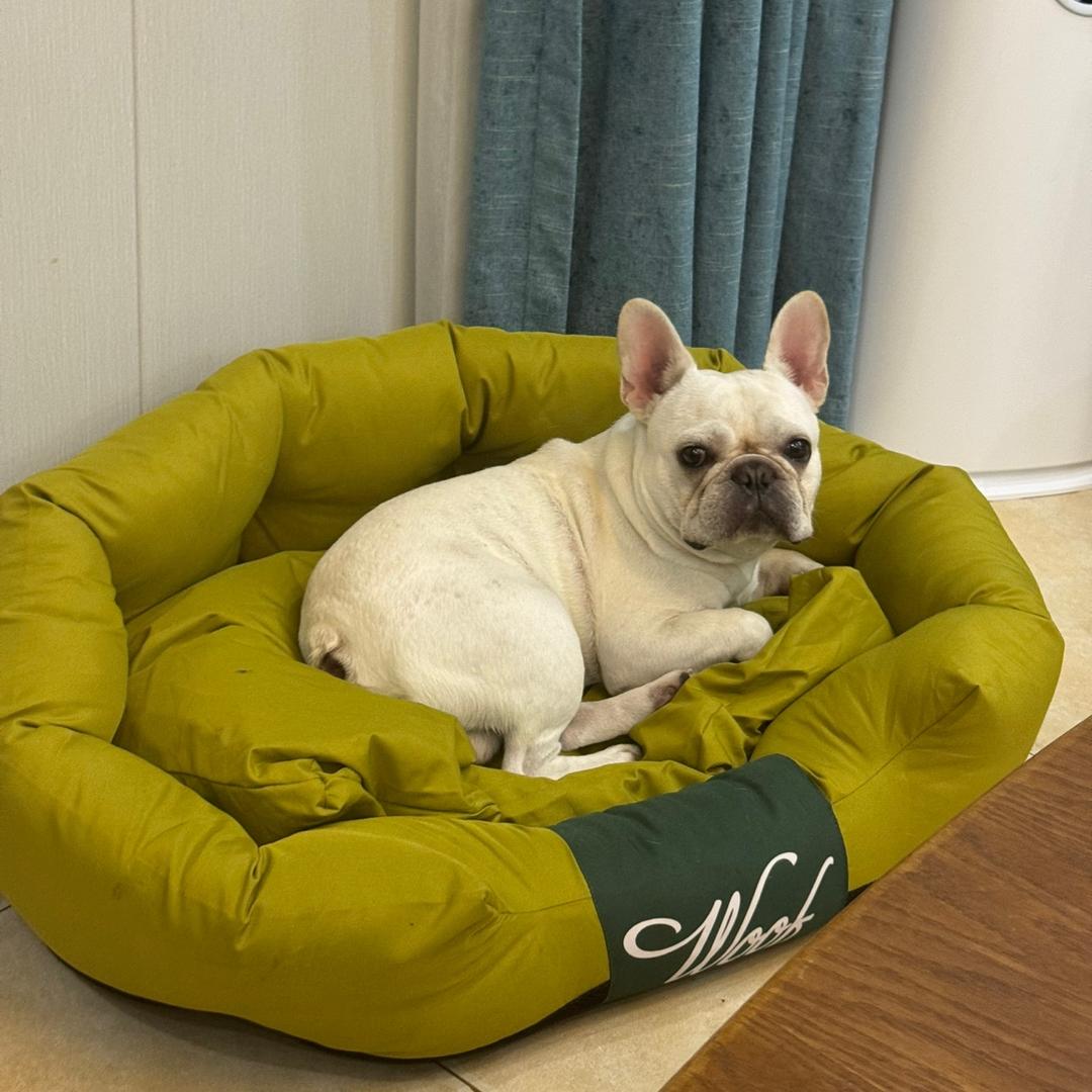 莫忧串串火锅官方号