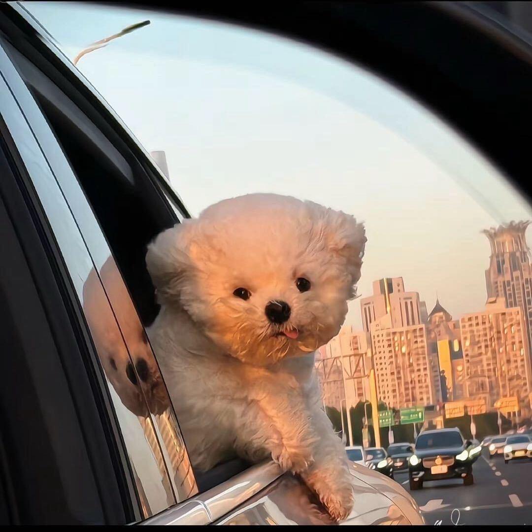 岁岁的仙女棒🪄