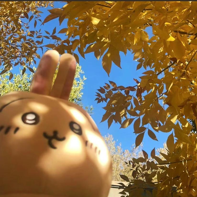 幸福裤衩子