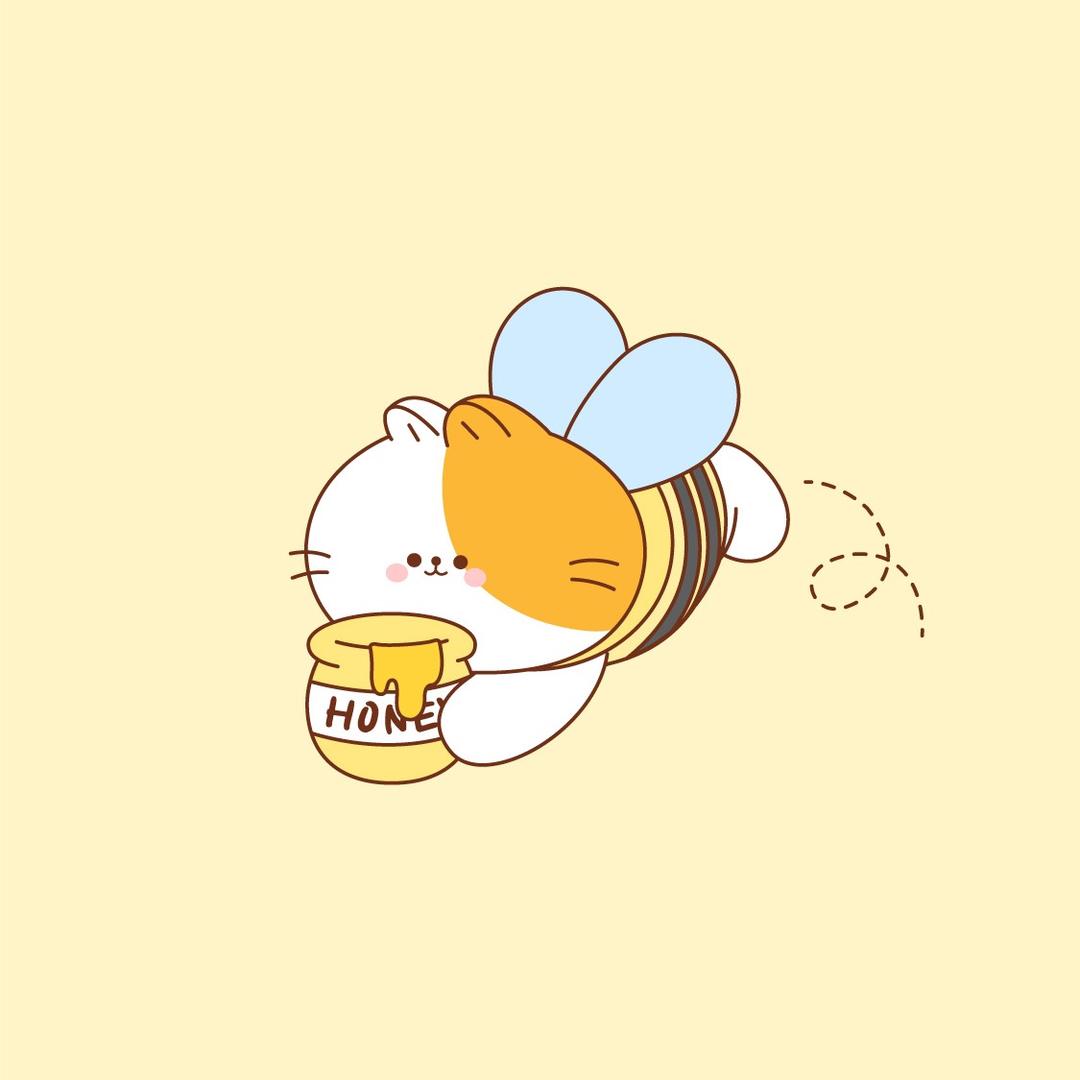 随便起了个名