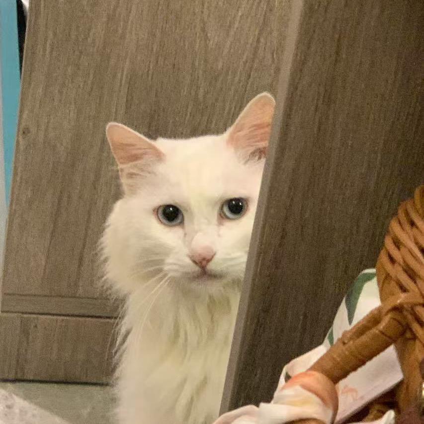 花卷滴粑粑麻麻