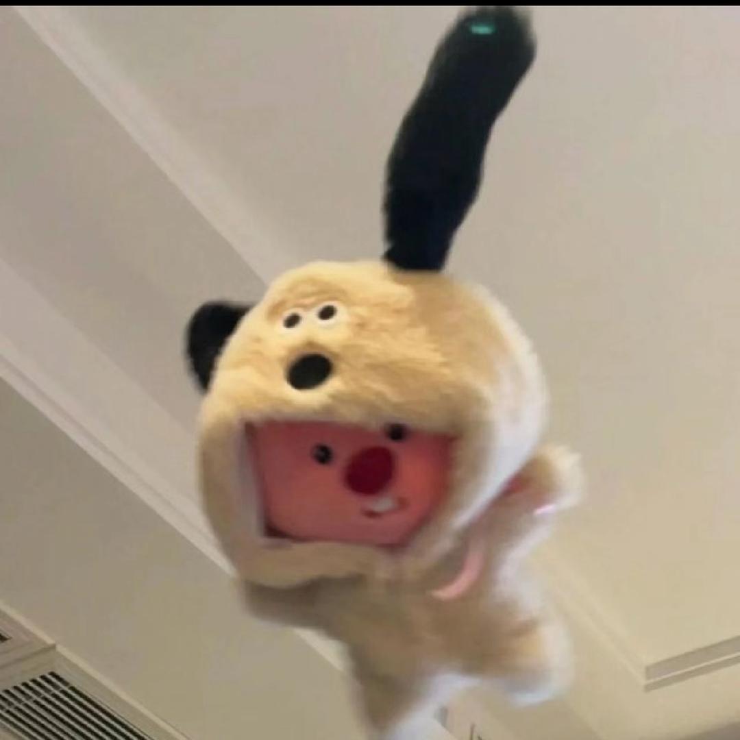 绒小毛一定可以（努力学习中