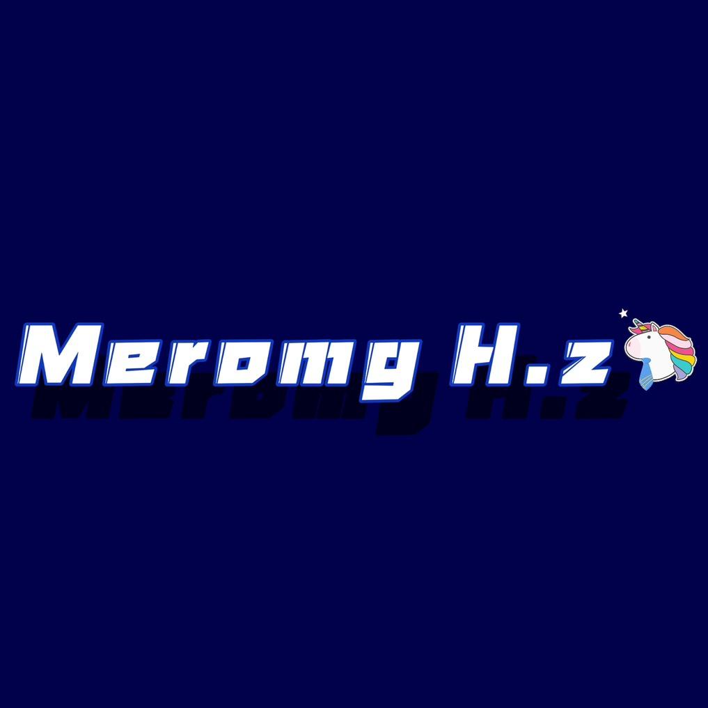 Meromg