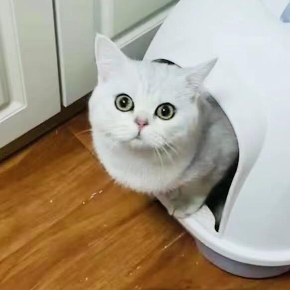富贵爱哈人