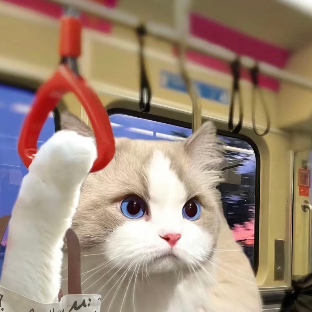 干货挖掘机小陈