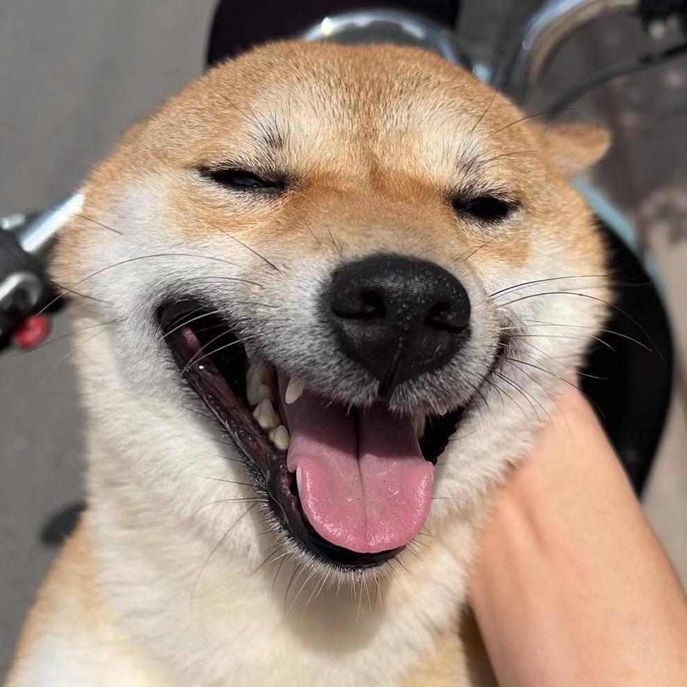 卡萌小啾咪
